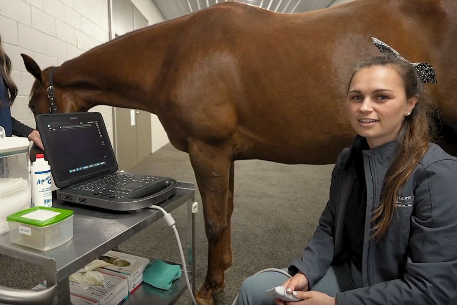 Equipment Feature_ Ultrasound Veterinarian instructing how to perform ultrasound on horse's limb